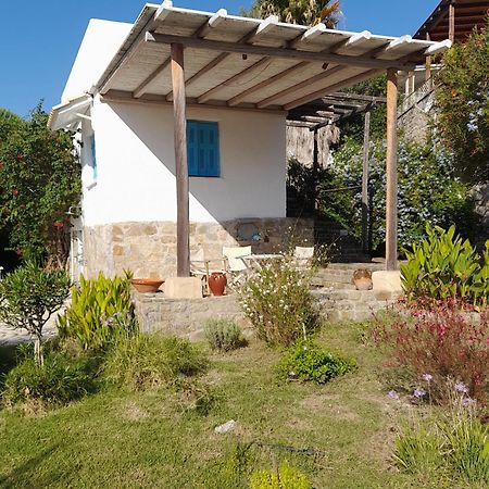Lemon Tree Cottage Finikounta Exterior foto