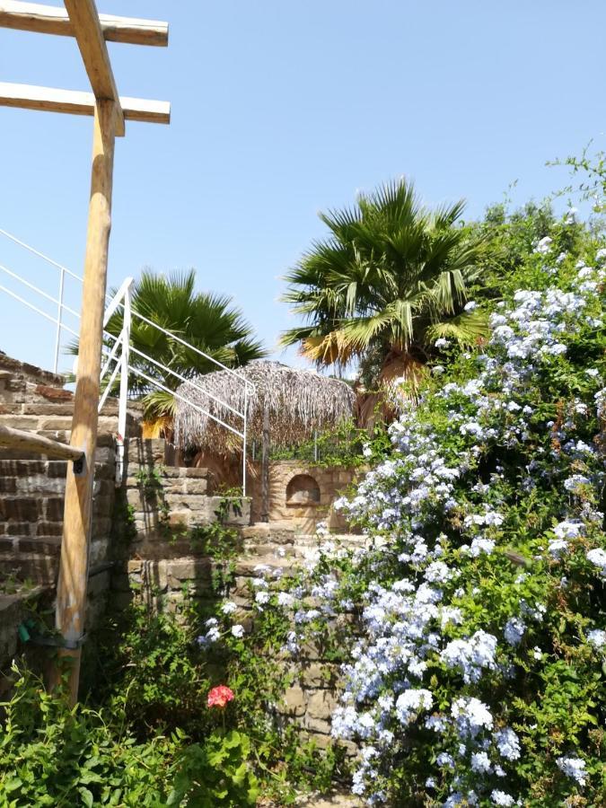Lemon Tree Cottage Finikounta Exterior foto