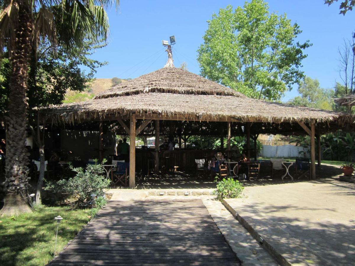 Lemon Tree Cottage Finikounta Exterior foto